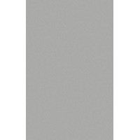 HPL 4019 Alaskan Trout  MAT  0,6mm 3050x1400mm