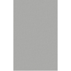 HPL 4019 Alaskan Trout  MAT  0,6mm 3050x1400mm