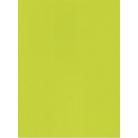 HPL 5519 salātzaļš  BS 0,6mm 3050x1310mm