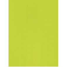 HPL 5519 salātzaļš  BS 0,6mm 3050x1310mm