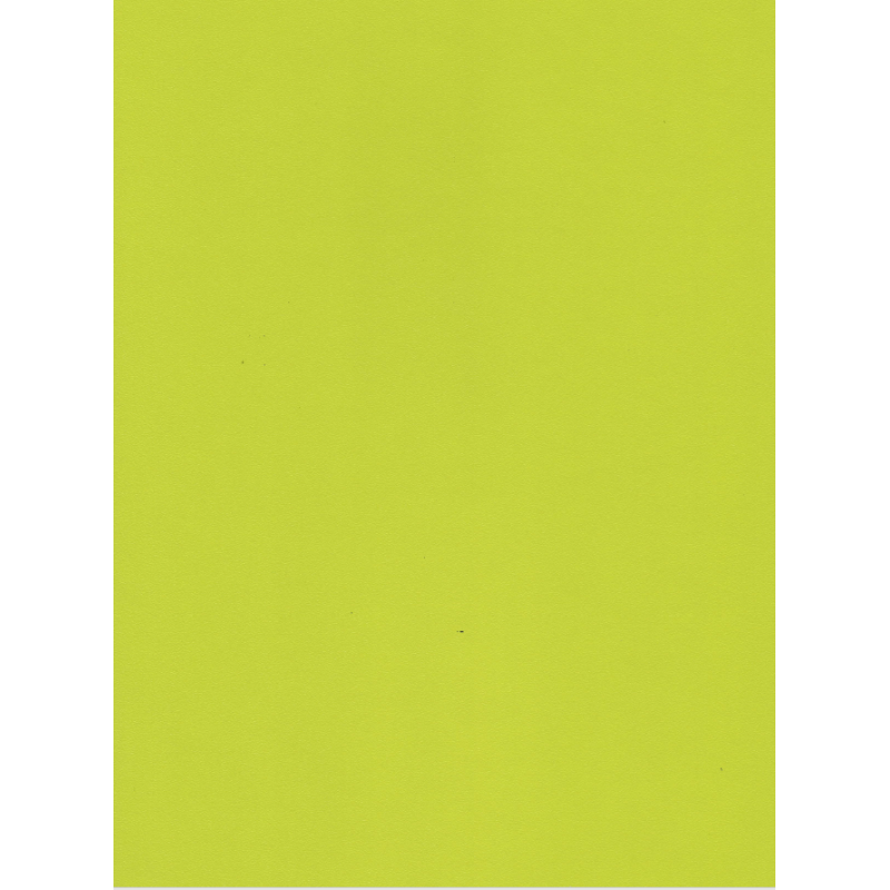 HPL 5519 salātzaļš  BS 0,6mm 3050x1310mm