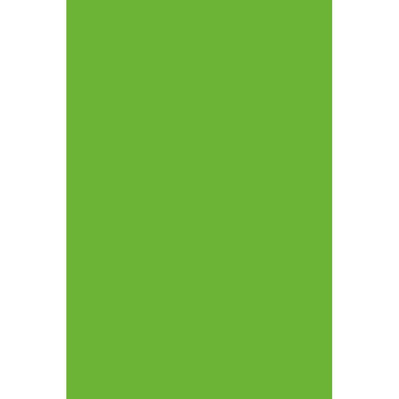 HPL 7190 Mamba Green RAL6019    CR 0,6mm 3050x1310mm