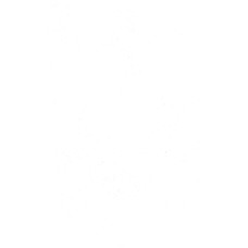 HPL 754 LU balts spīdīgs 0,6 mm 3050x1300mm