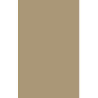 HPL 1096 Walnut Butter QU   0,6mm 3050X1300mm