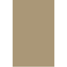 HPL 1096 Walnut Butter QU   0,6mm 3050X1300mm