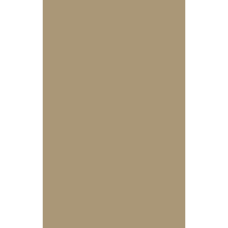 HPL 1096 Walnut Butter QU   0,6mm 3050X1300mm