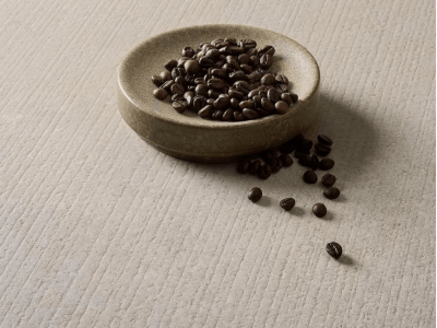 Fossil no ARKÈON kolekcijas