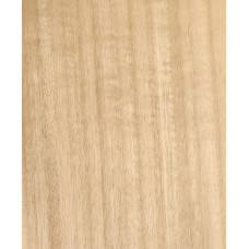 Eucalyptus 0,6 mm veneer