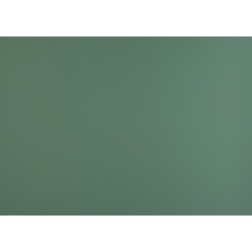 FENIX NTM BLOOM 0773 Verde Brac 0,7 mm 3050x1300 mm