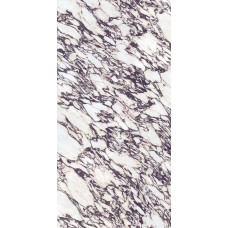 MB22 Calacatta Viola Polished 6 mm bez sieta 1600x3200 mm
