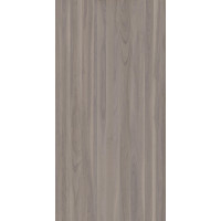 WD02 Skov MATT 6 mm without mesh 1600x3200 mm