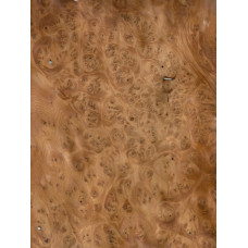 Yew Tree māzers 0,6 mm