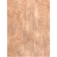 Karēlijas bērza māzers B 0,6 mm