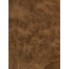 Kampara māzers 0,6 mm