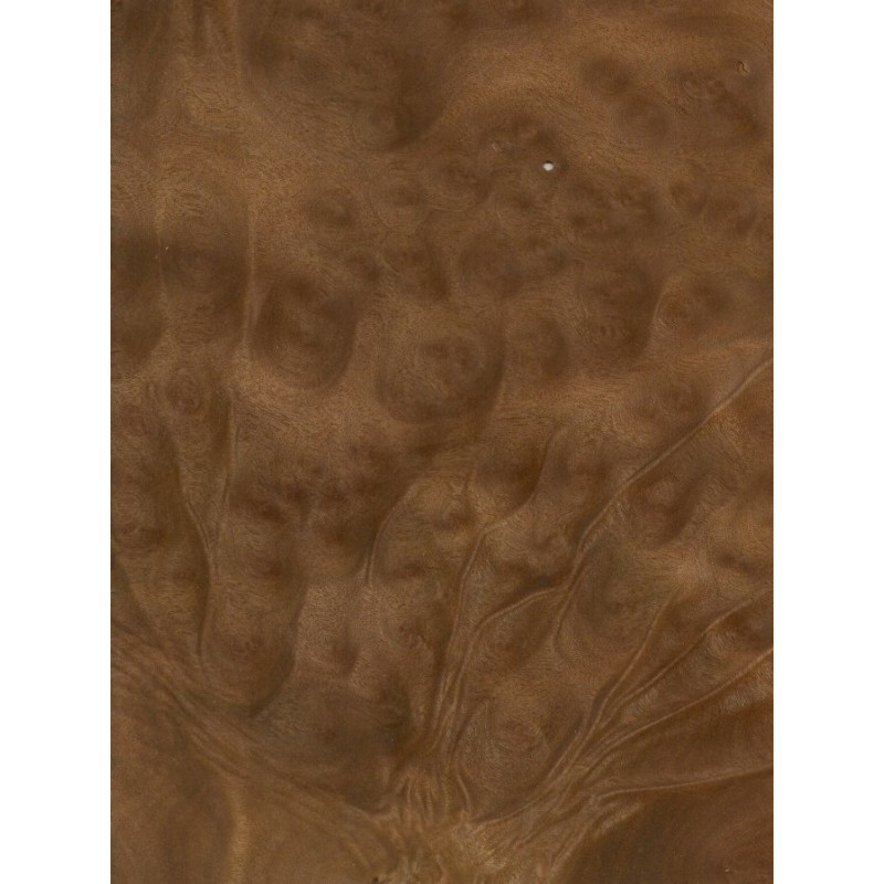 Kampara māzers 0,6 mm