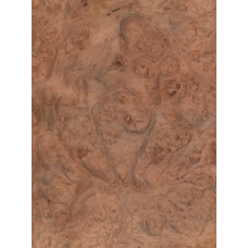 Kļavas (Sycamore) māzers 0,6 mm