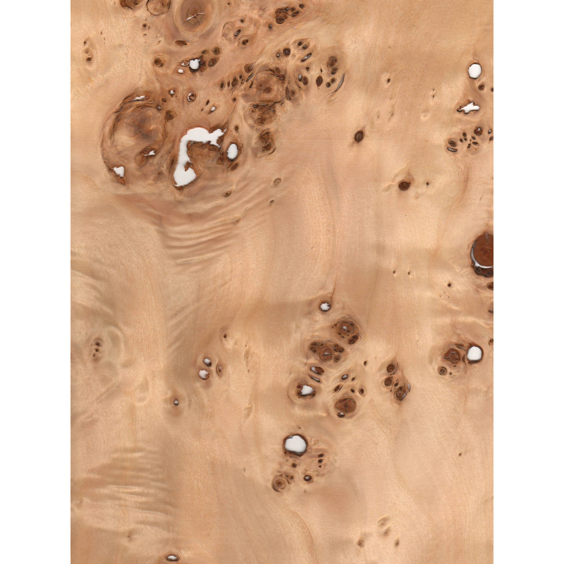 Papeles māzers 0,6 mm