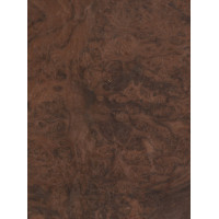Walnut burl 0,6 mm
