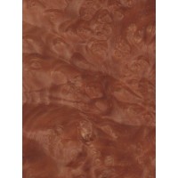 Kļavas Amerikas (sarkanās) māzers 0,6 mm