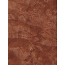 Kļavas Amerikas (sarkanās) māzers 0,6 mm