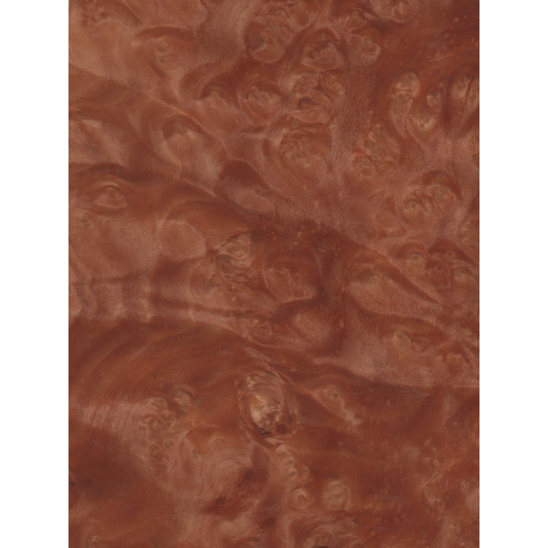 Kļavas Amerikas (sarkanās) māzers 0,6 mm