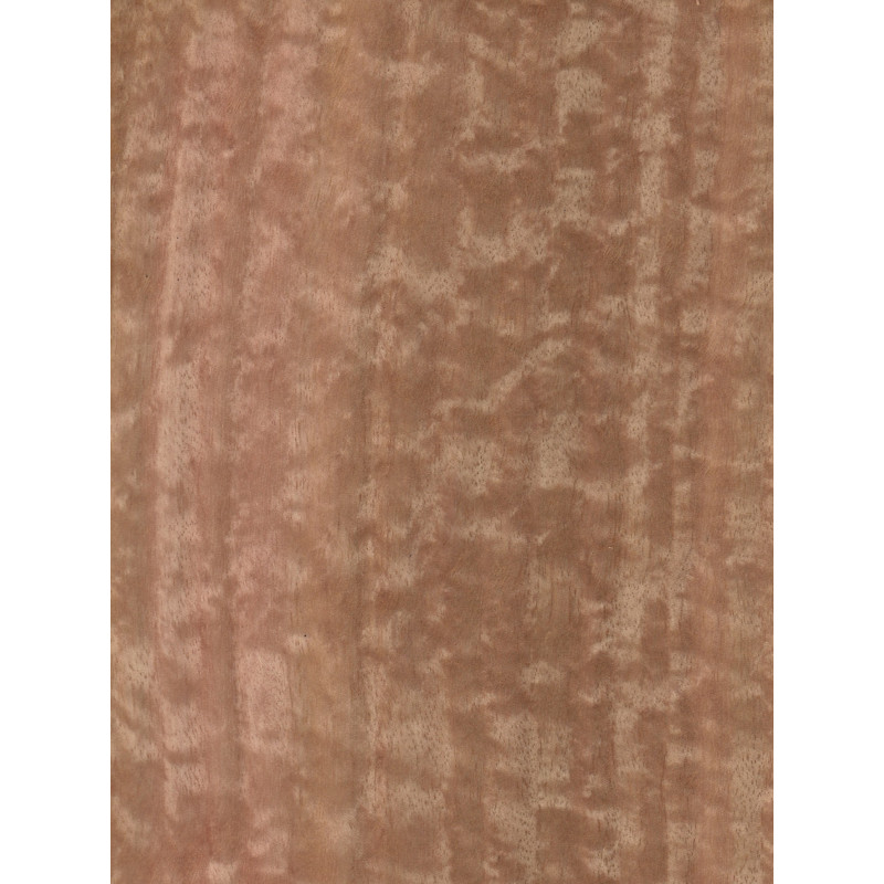 Eucalyptus figured 0,6 mm veneer