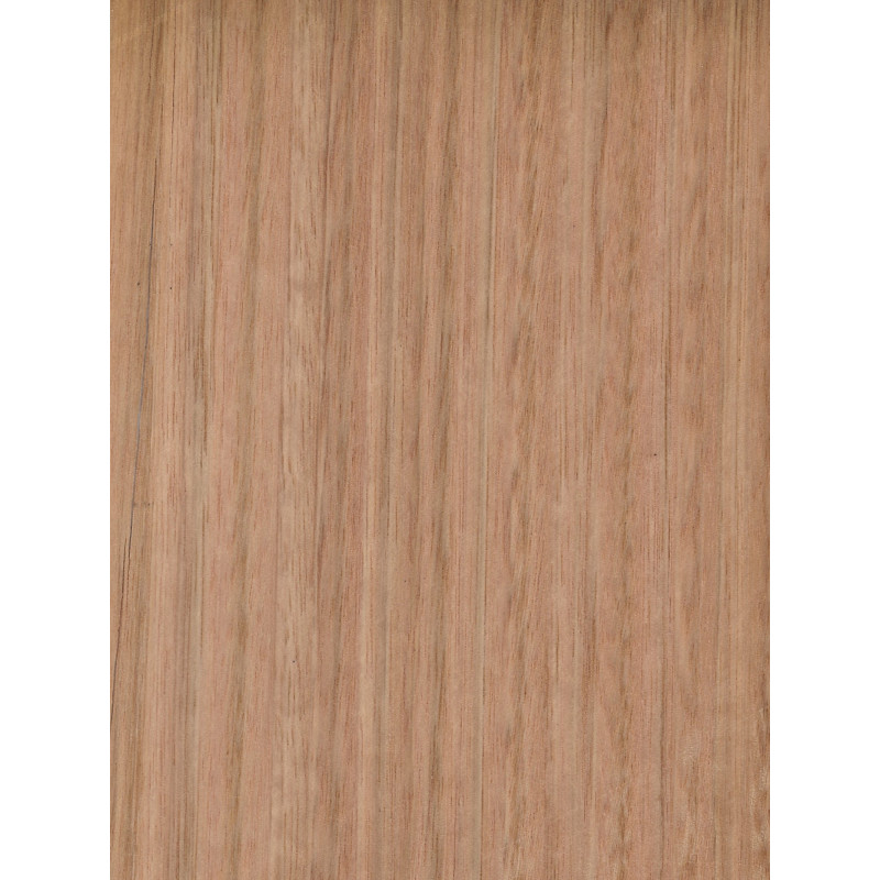 Eucalyptus 0,6 mm veneer