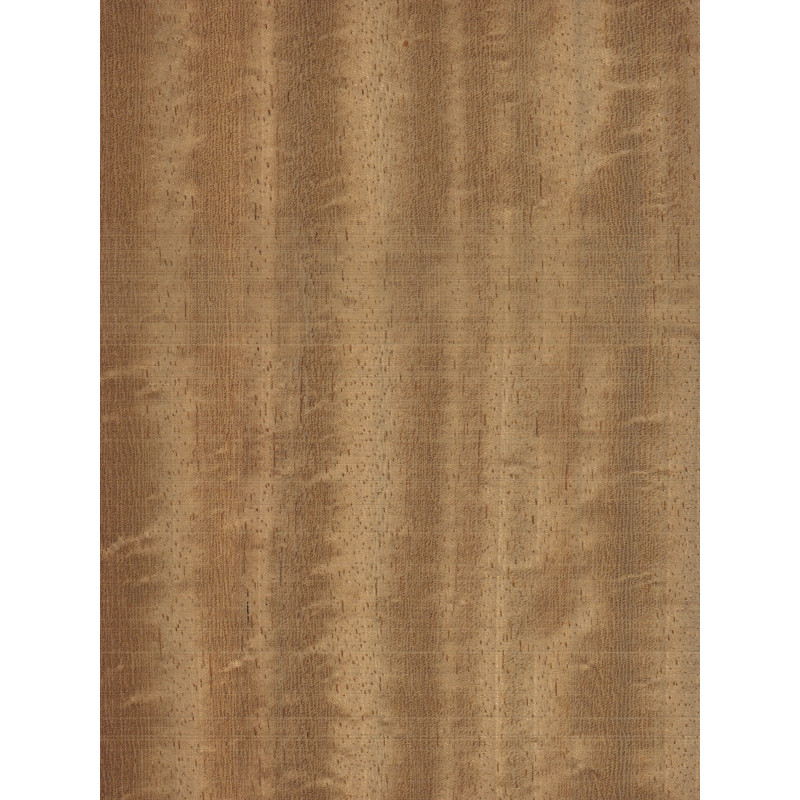 Iroko 0,6 mm veneer