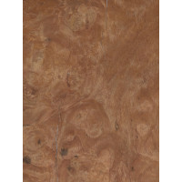 Kastaņa (gaišā) māzers 0,6 mm