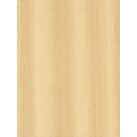 Koto 0,6 mm nažfinieris