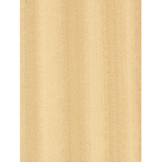 Koto 0,6 mm nažfinieris