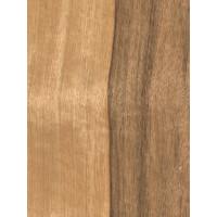 Limba 0,6 mm nažfinieris