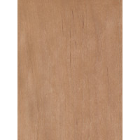 Melnalkšņa nažfinieris A