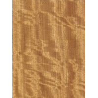 Movingui 0,6 mm nažfinieris