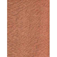 Lacewood 0,6 mm nažfinieris