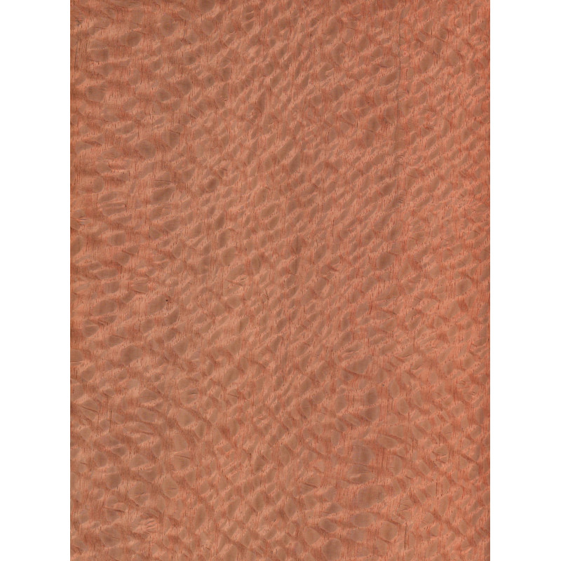 Lacewood 0,6 mm veneer
