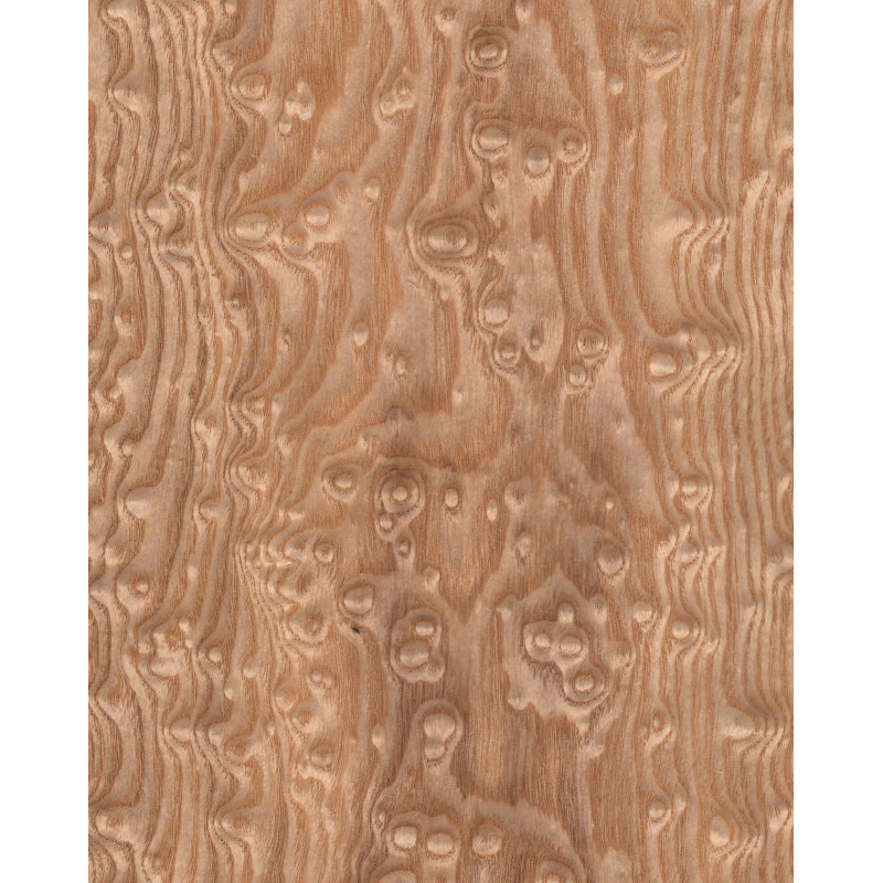 Tamo 0,6 mm veneer