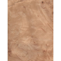 Kļavas (Sycamore) māzers 0,6 mm