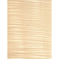 Kļavas Sycamore Figured māzers 0,6 mm