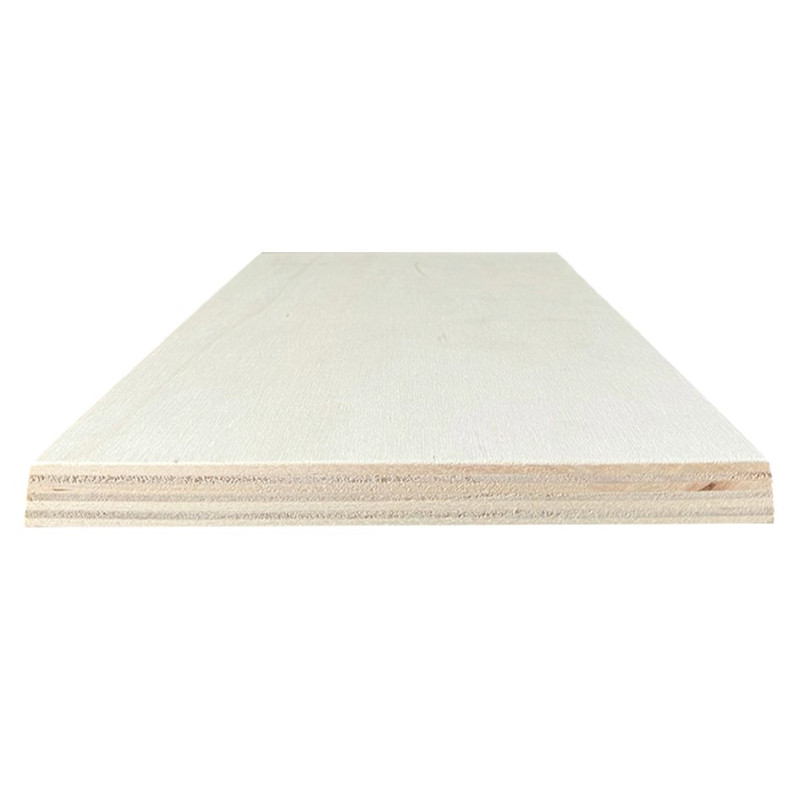 Papeles saplāksnis 2500x1220 mm