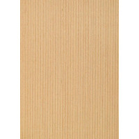 RR2.00.242 TABU Caleidolegno nažfinieris