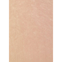 05.089 TABU Bird's Eye Maple 0,6 mm veneer