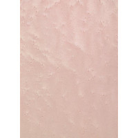 05.090 TABU Bird's Eye Maple 0,6 mm veneer