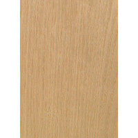 13.002 TABU Ozols 0,6 mm nažfinieris 