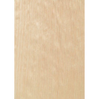 13.040 TABU Oak 0,6 mm veneer 
