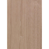 51.028 TABU Amerikas rieksts 0,6 mm nažfinieris