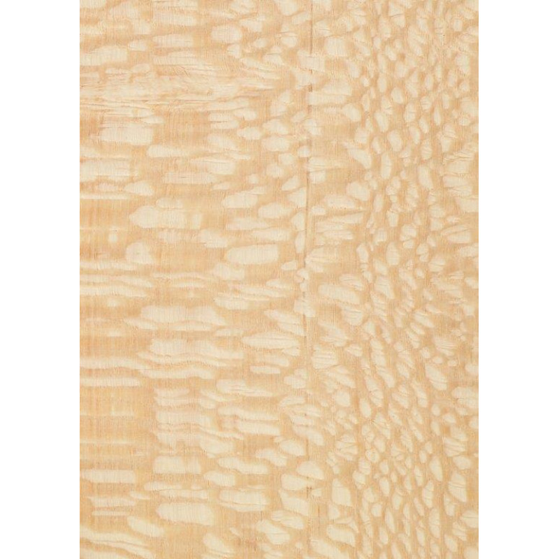 81.051 TABU Carbalho 0,6 mm veneer