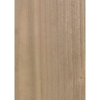 E5.B03 TABU Eikalipts 0.6 mm nažfinieris 