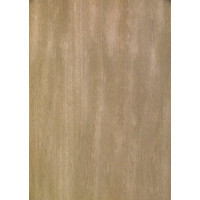 T2.001 TABU Lolo 0.6 mm veneer