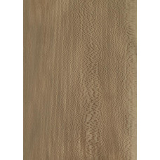 33.N.019 TABU Platānas serdes staru koksnes 0,6 mm nažfinieris